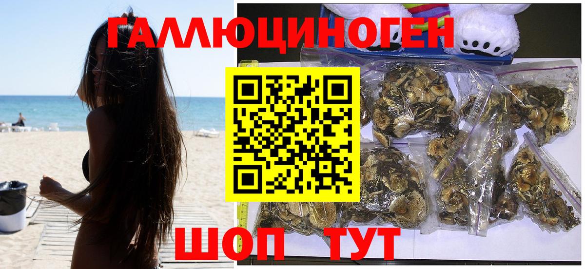Псилоцибиновые грибы прущие грибы Елабуга