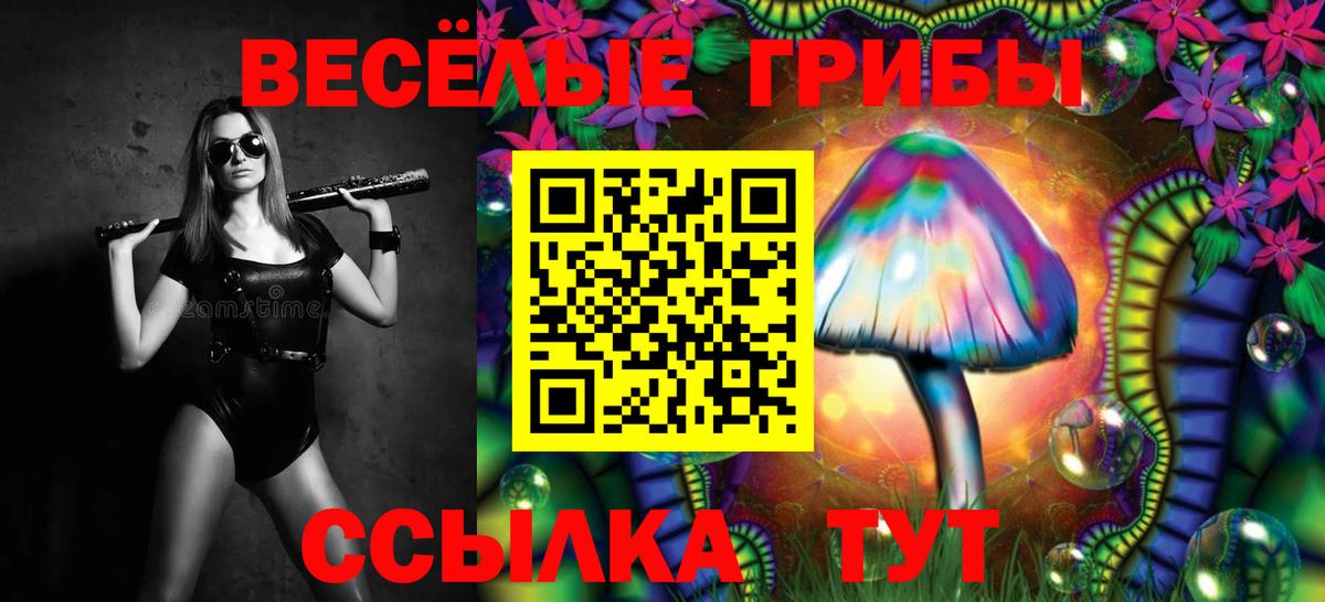 Галлюциногенные грибы Magic Shrooms  как найти закладки  Елабуга  Вход с VPN  Псилоцибиновые грибы мицелий 